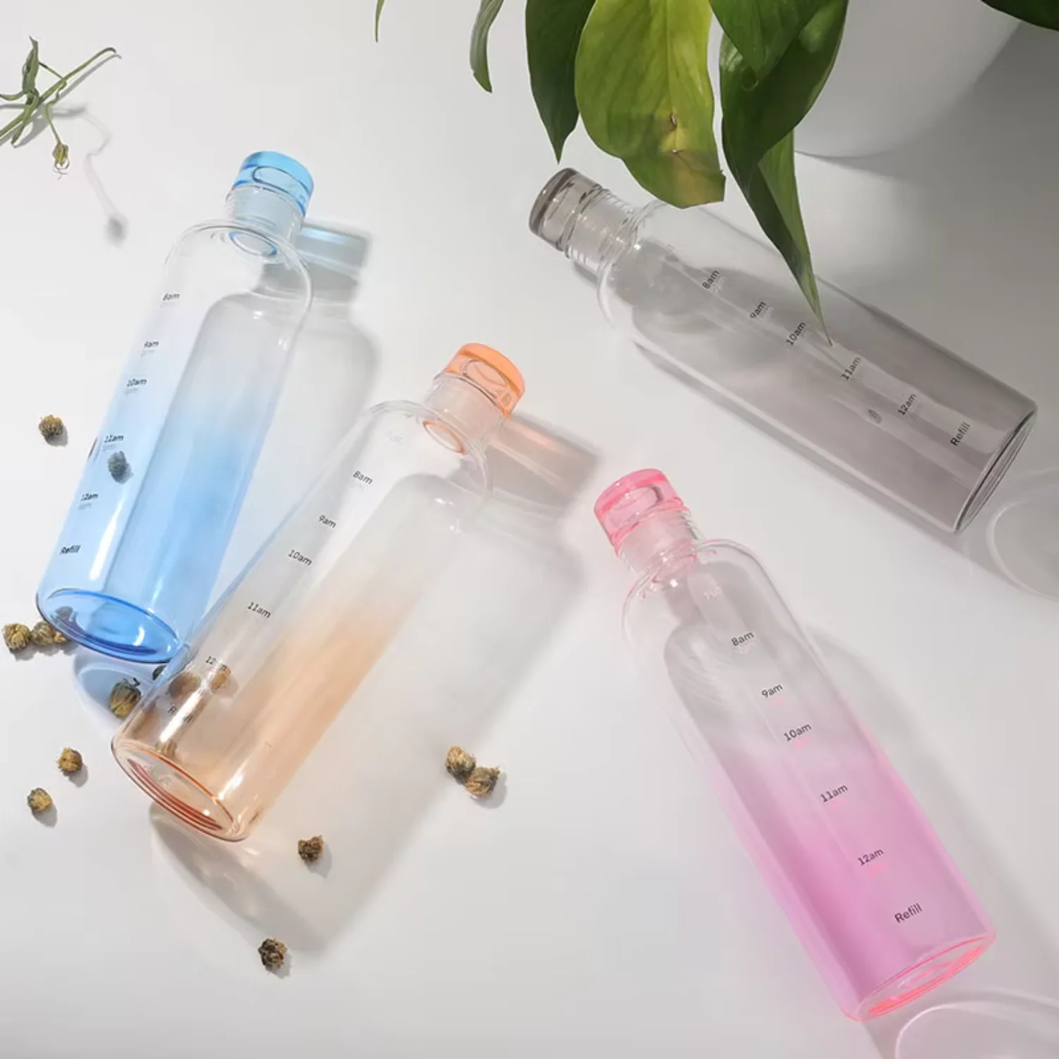 BPA Free Fashion 500ml 650ml  Gradient Glass  Transparent Bottle  With Time Marker