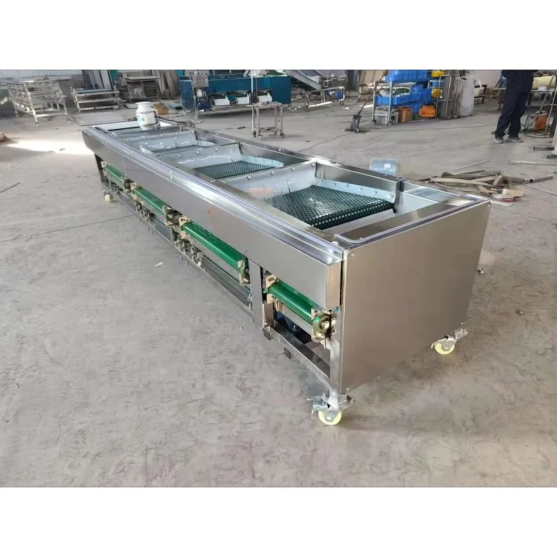 Drum Fruit Classifier Fruit Sorting Machine Onion Sorter Machine Mango Kiwi Blueberry Grader Blueberry Sizer Customized