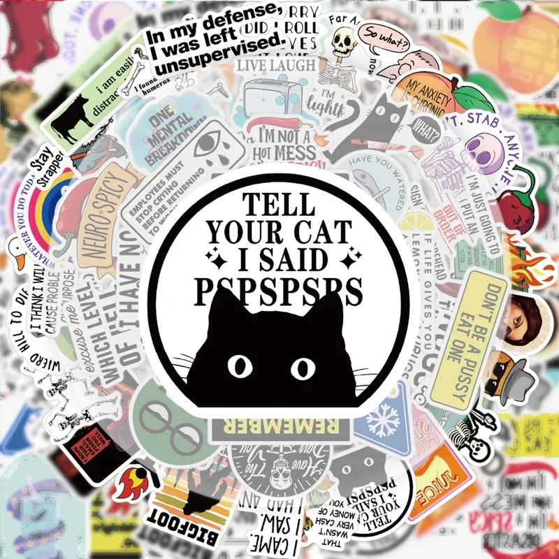 50 Pieces of Sarcastic and Witty Stickers, Vibrant Sticker Decals Suitable for Water Bottles, Laptops, Phone Cases, Suitcases, Skateboards, Guitars, Gift Boxes, and Party Decorations