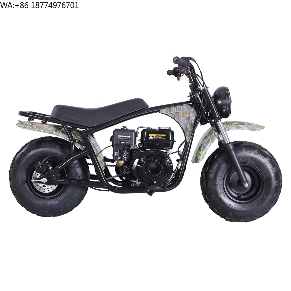 Tao Motor 2023 New Design Kids Petrol Mini Dirt Bike Mini Bike 200cc