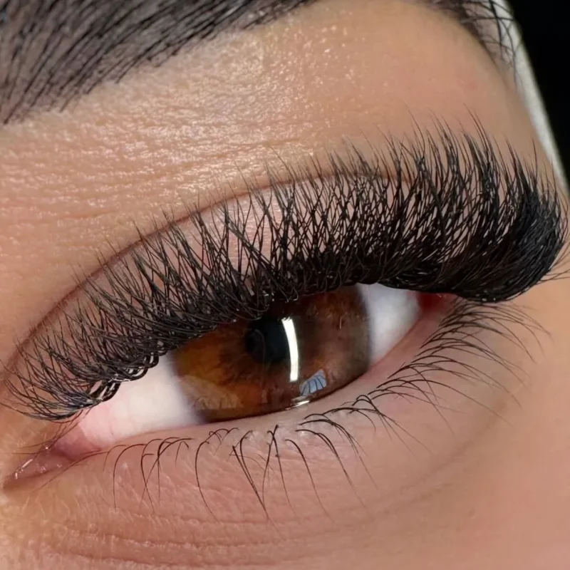 SENSE LASHES W Shape Eyelash 3D 4D 5D 6D W Lashes Automatic Flowering Natural Soft Full Dense Premade Fans for Beauty Makeup