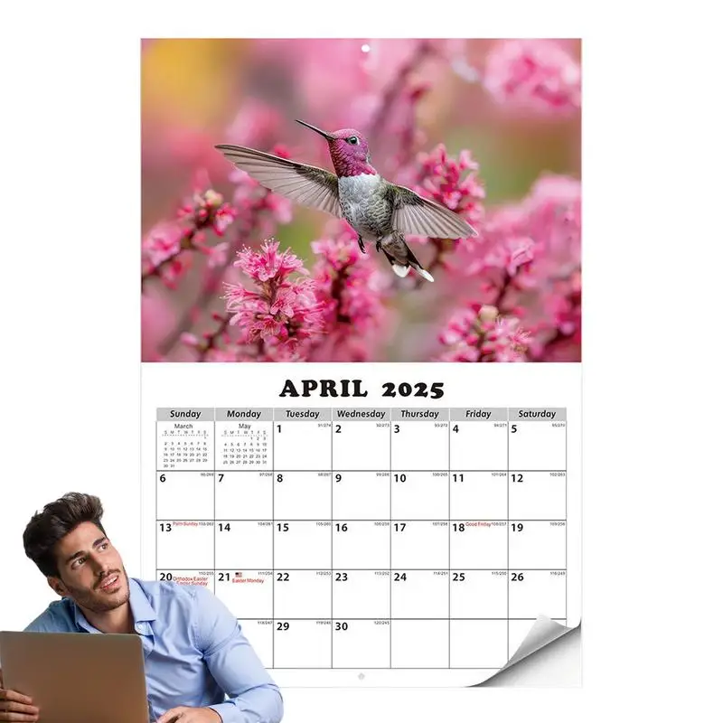 

Wall Calendar Planner Hummingbird Monthly Calendar Decor Clear Printing Wall Calendar Decoration For Work Area Living Room