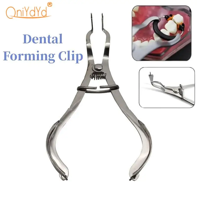 

1Pc Dental Tools Rubber Dam Clamps Ivory Clamp Forceps Dental Restorative Instruments