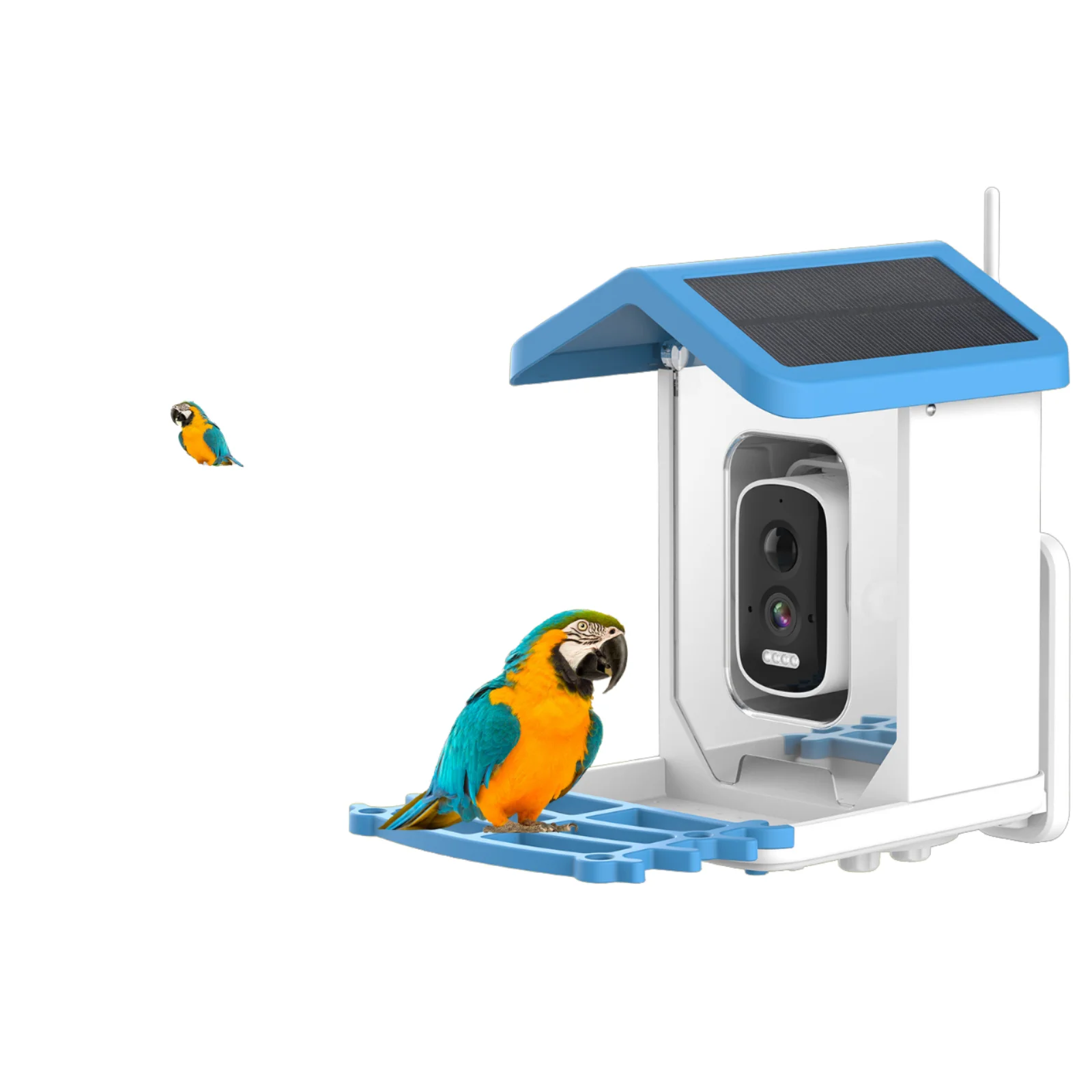 

Intelligent Bird Feeder with Live View Camera for Bird Lovers Automatically Charged