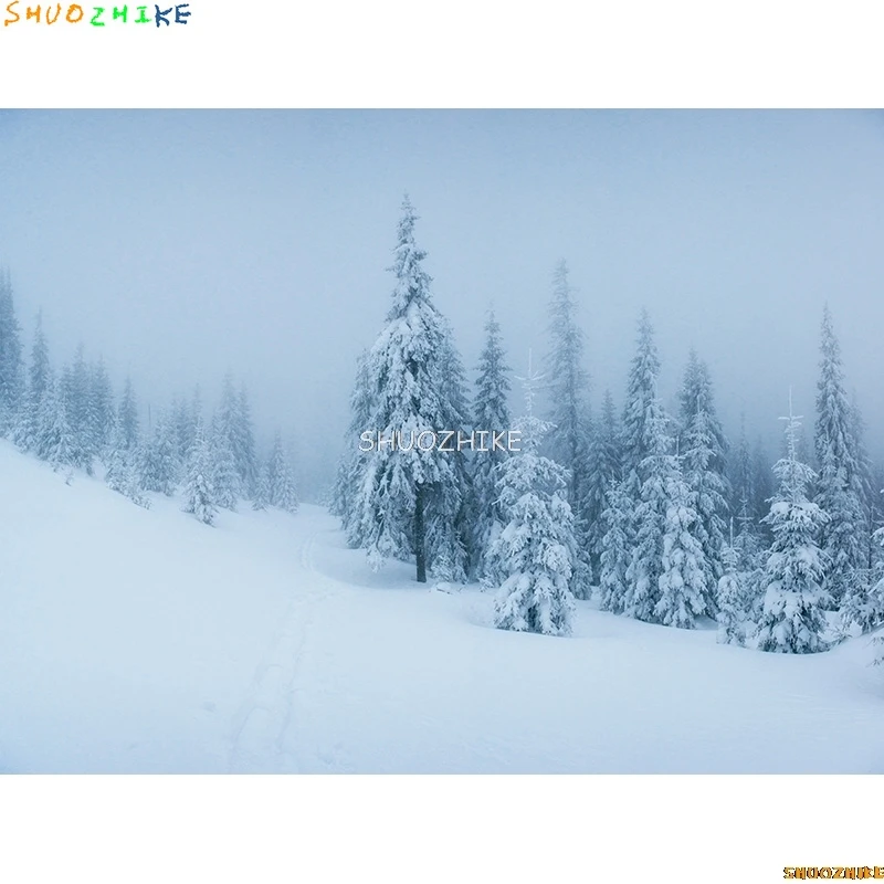 قطرات خلفية للتصوير الفوتوغرافي للغابات الشتوية ، طريق مغطى بالثلوج ، ندف الثلج ، أشجار التنوب ، خلفية الصورة ،