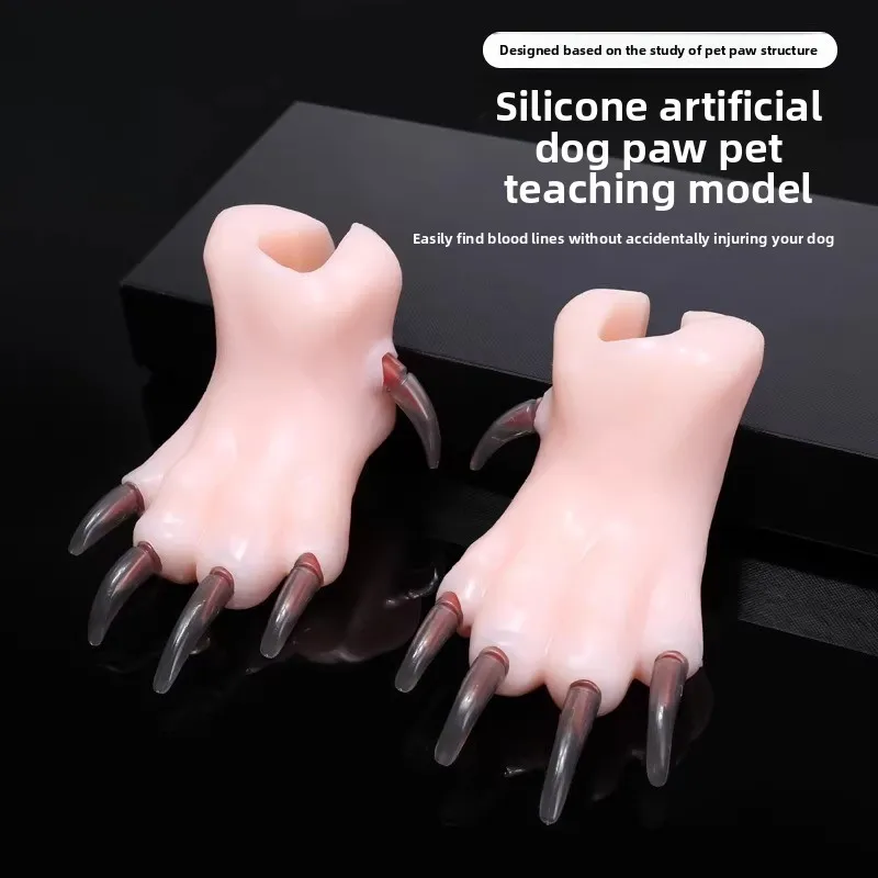 Simulation dog paw teaching model Animal simulation nails for primary pet groomers to practice nail trimming