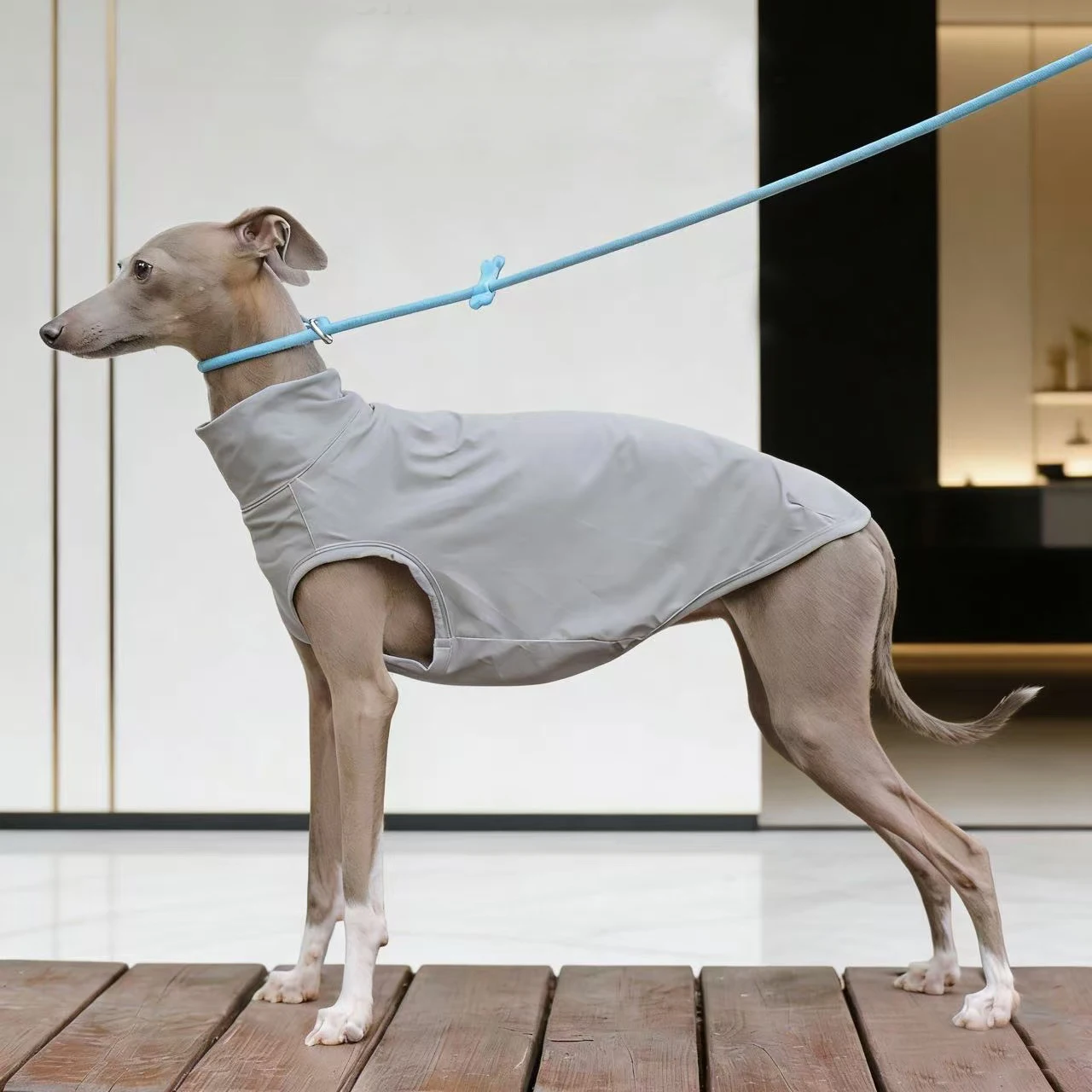 Chaleco de tela fría de secado rápido gris de verano con protección solar para Galgo Italiano, camiseta fina transpirable y refrescante para Bedlington Whippet