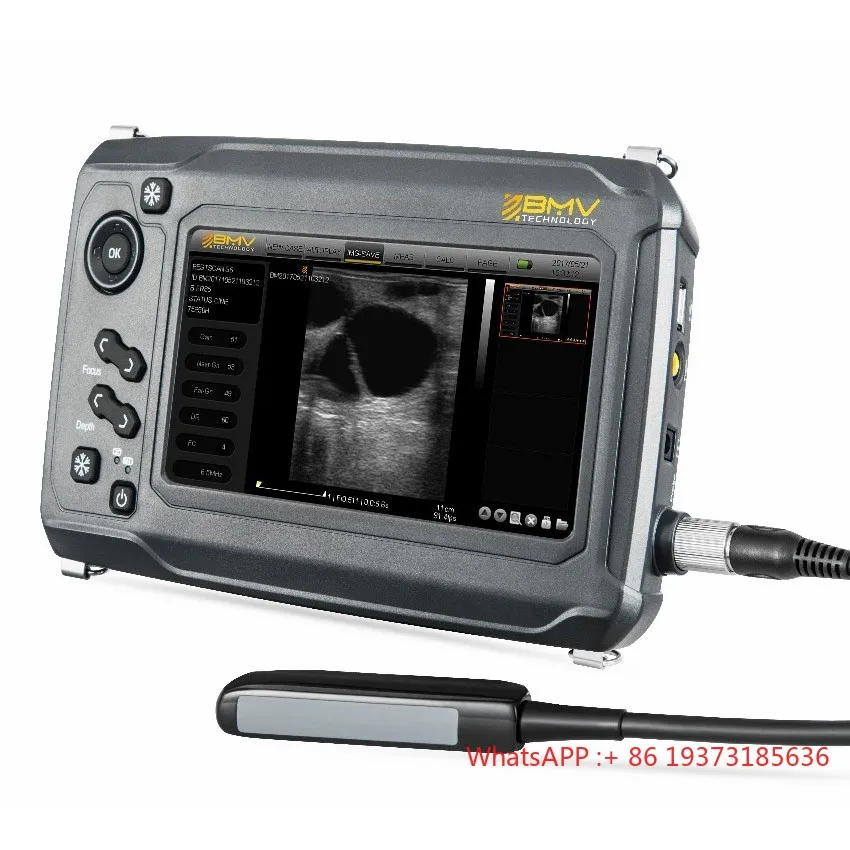 Handheld BMV S6 digital equine bovine Ovine DRE V900 Portable Digital Veterinary Ultrasound System