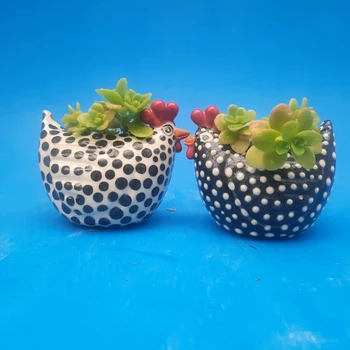 5-product-image