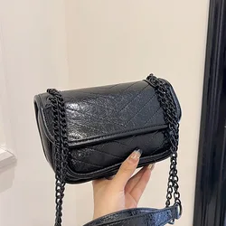 Popular Women's Bag 2024 New Summer Simple Chain Crossbody Bag Korean Version Single Shoulder Underarm Bag