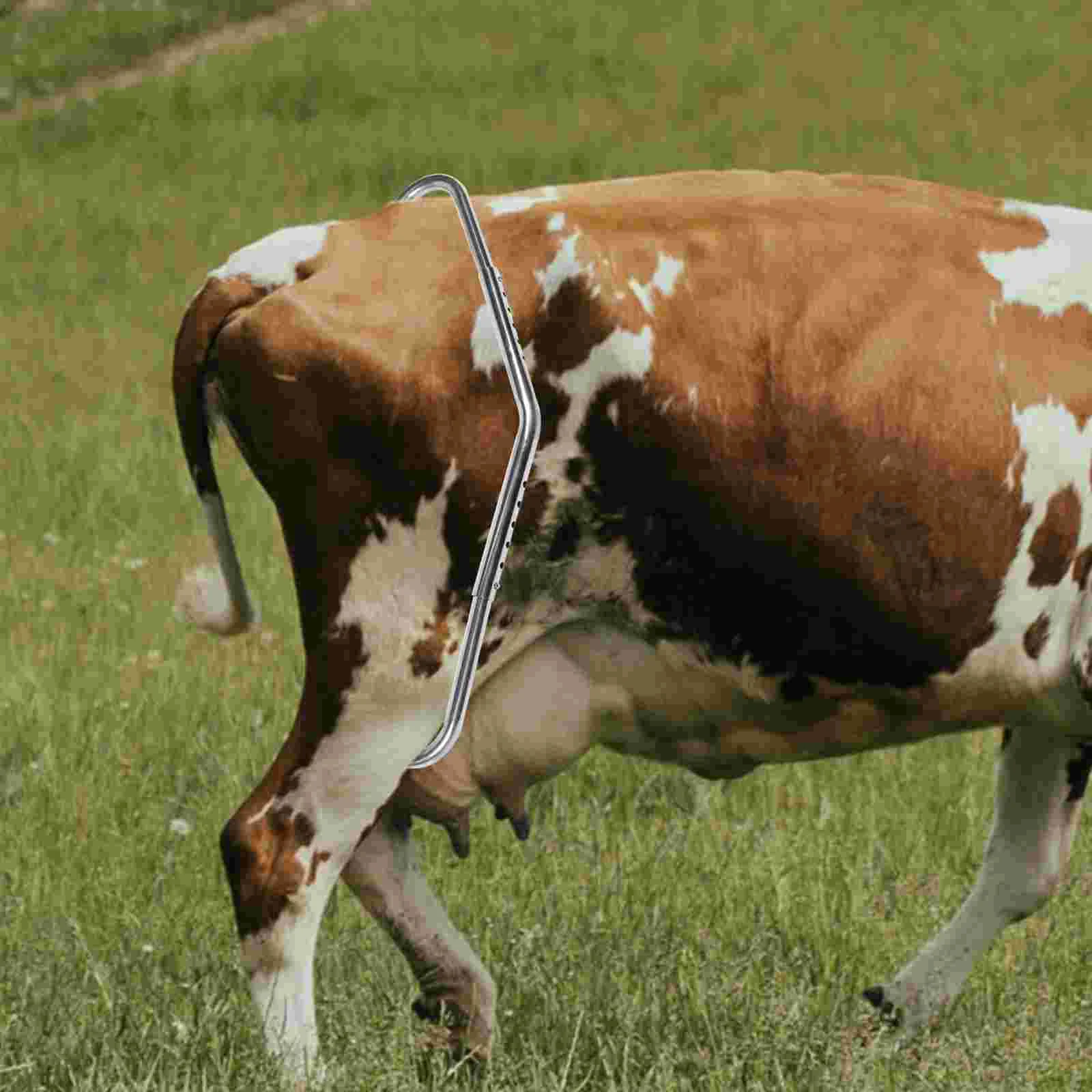 Bastões de ornamento de vaca, dispositivo anti-chute de metal, haste de aço inoxidável prateado