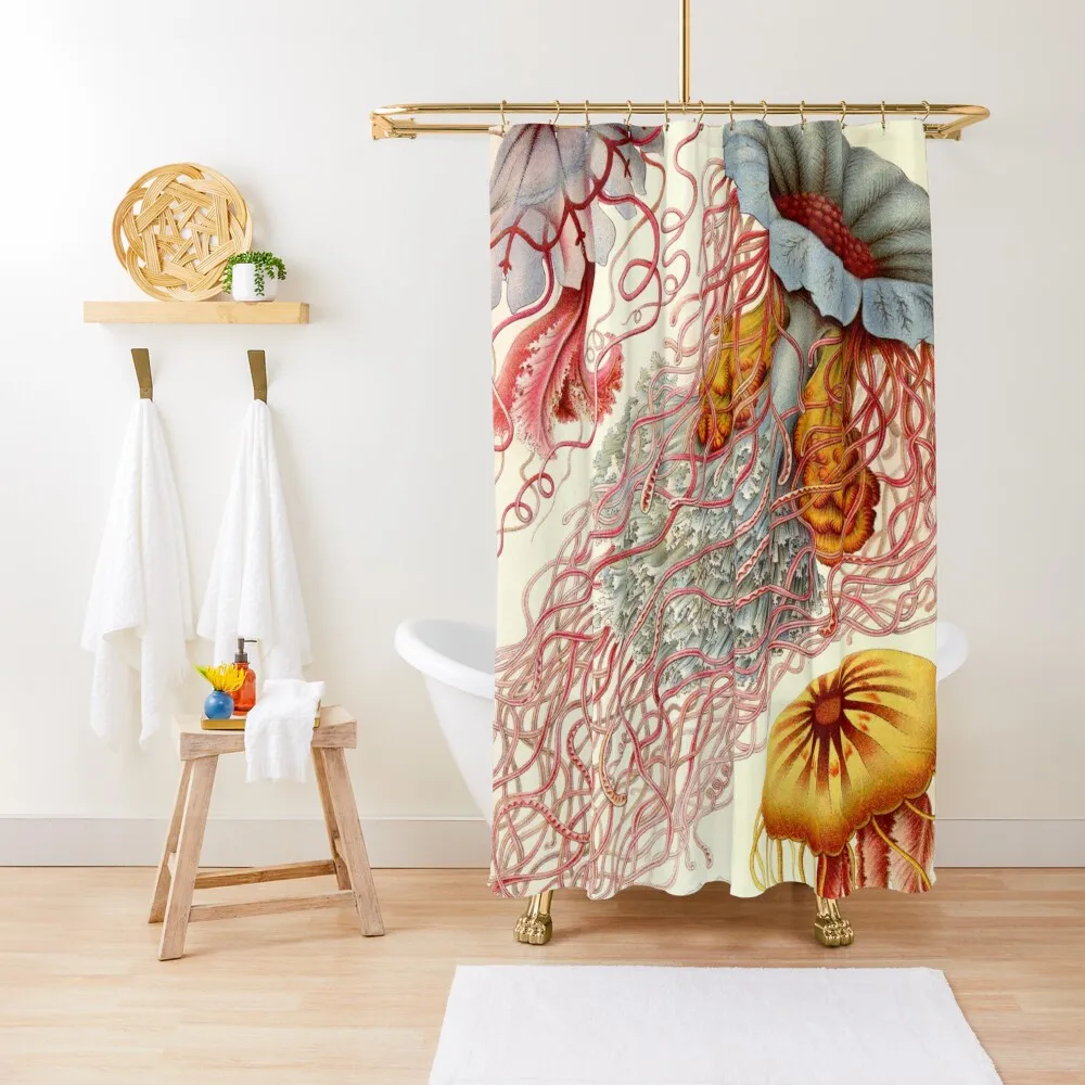 

Jellyfish - Ernst Haeckel Shower Curtain For Bathrooms In The Bathroom Bathroom Deco Anime Bathroom Curtain