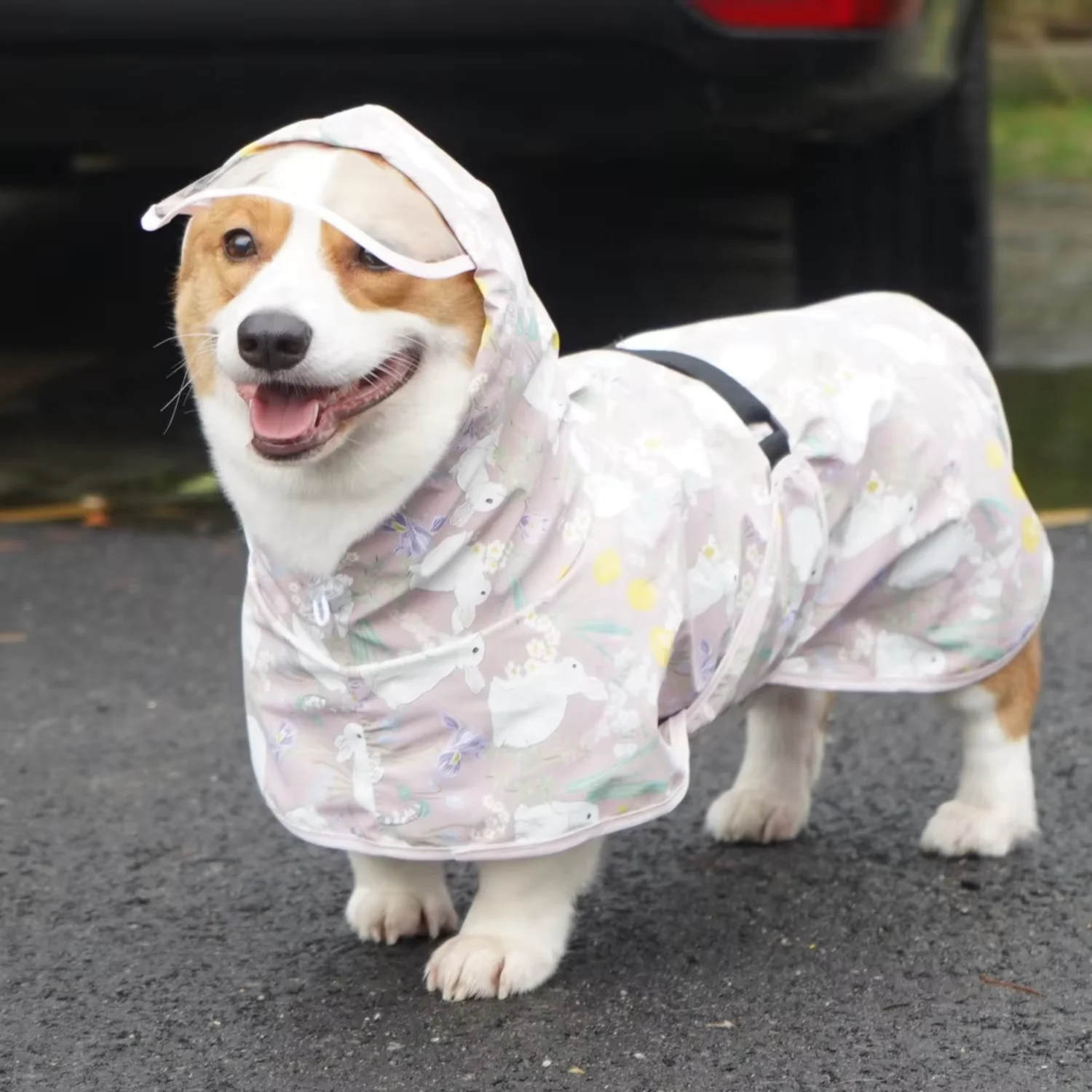 Wholesale Raincoats Reflectiv - đánh giá và giá Dog Raincoat