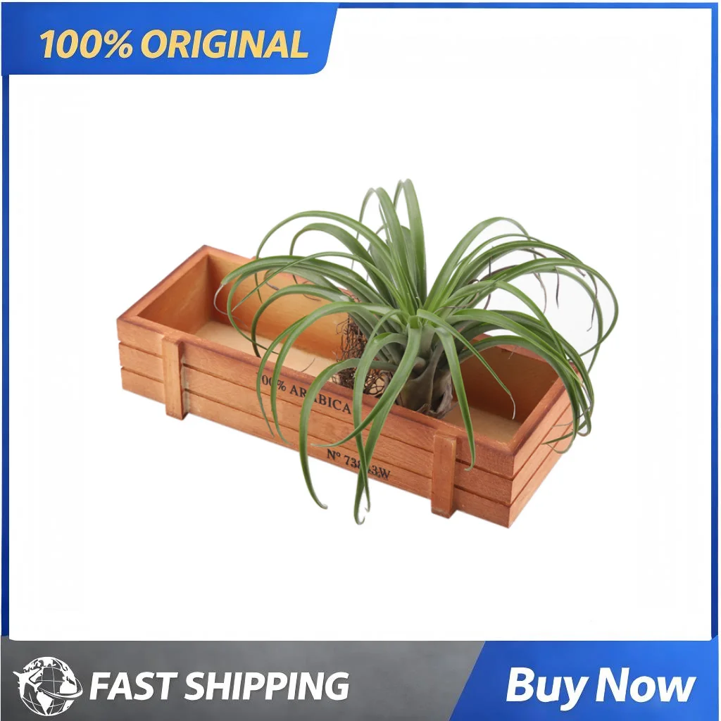Succulent Flower Box 8.9*3.9*1.9in Rectangle Succulent Box natural wood material Home Garden Balcony Desktop Bonsai Decoration
