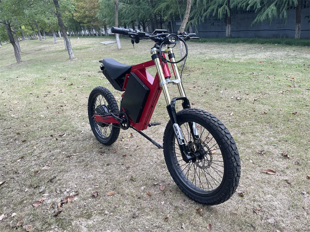 CS20 48V 3000 Watt Electric Mountain Bike Aluminum Frame Electric Bicycle Ebike 2024 Popular Bike Pitbike