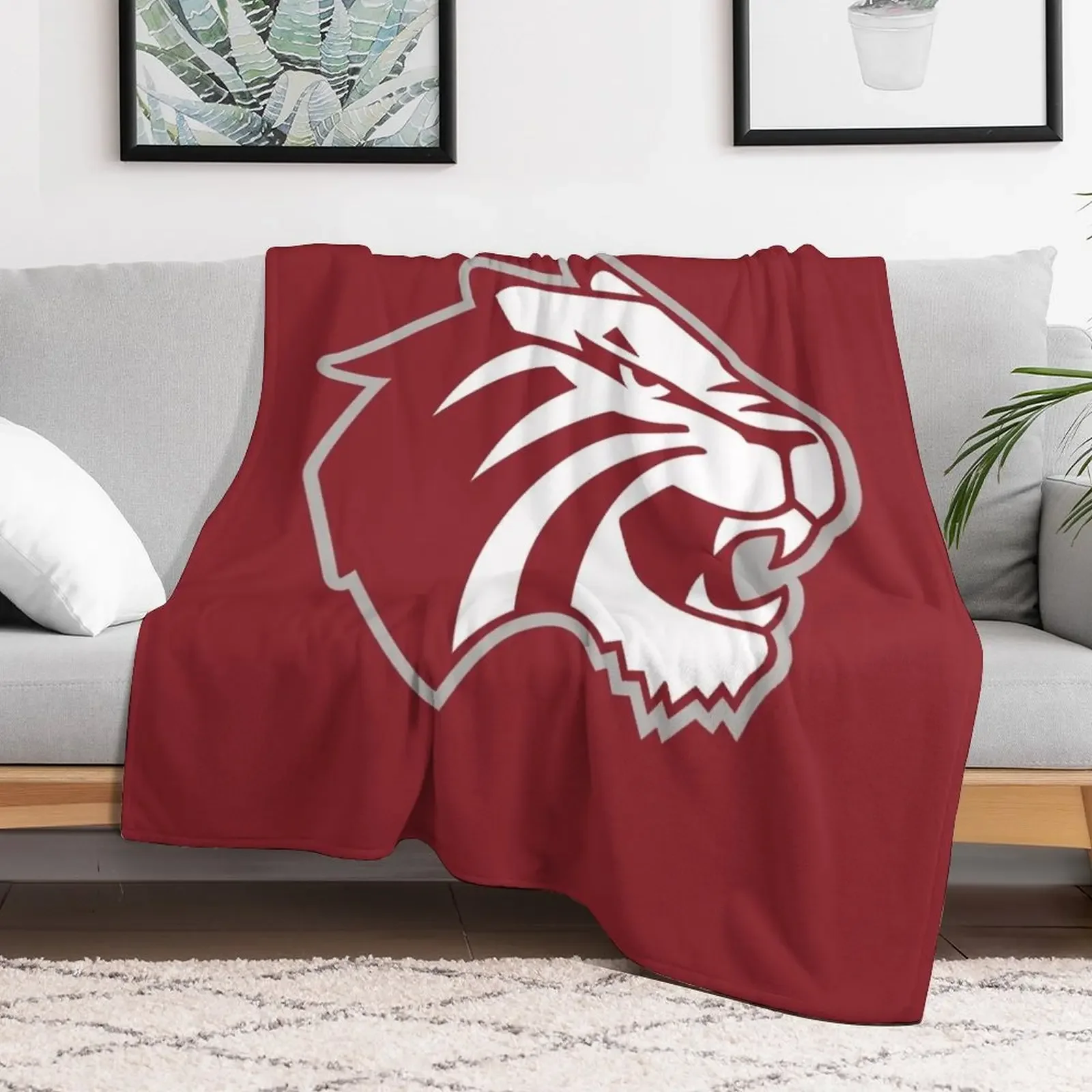 Trinity University Throw Blanket Warm Plush Fuzzy Blanket for Living Room