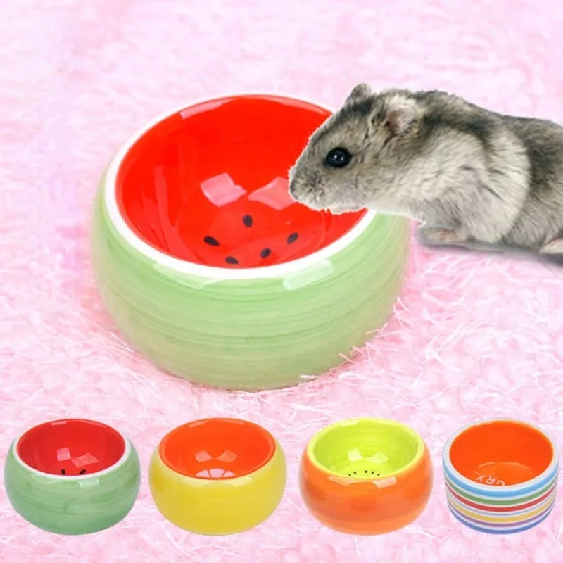 وعاء طعام هامستر مضاد للانسكاب، وعاء سيراميك ملون للفاكهة، وعاء تغذية صغير للحيوانات الأليفة، وعاء ماء يمنع البقشيش