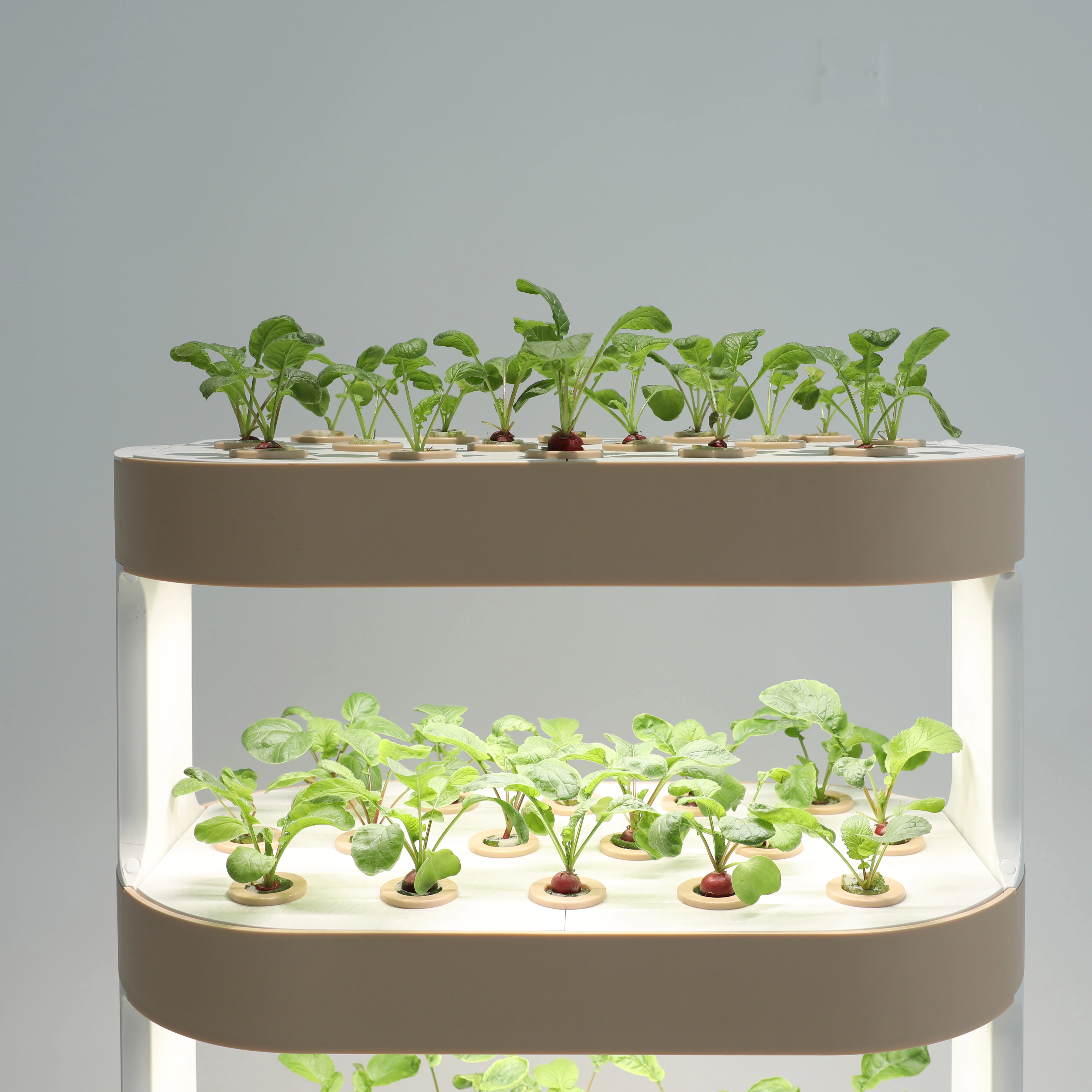 水耕タワースマート水サイクル成長野菜コンテナ