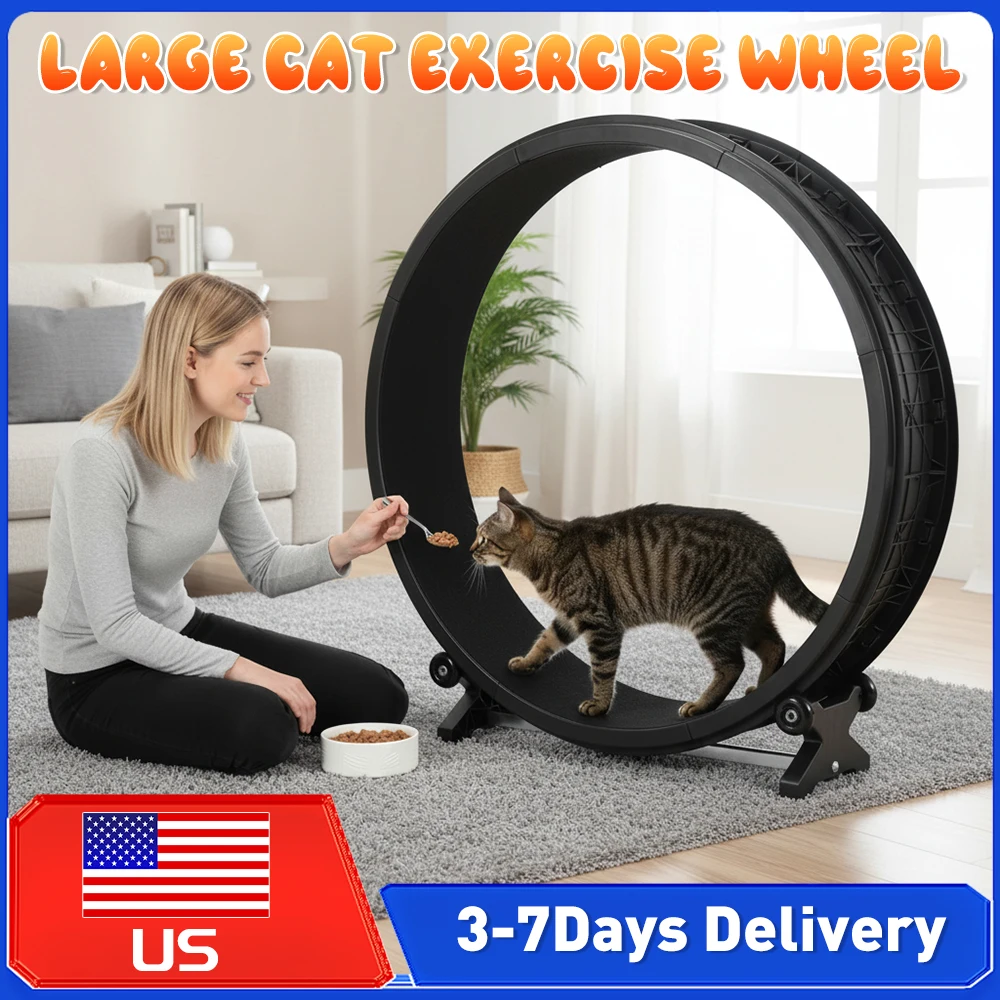 48 Inch Large Cats …