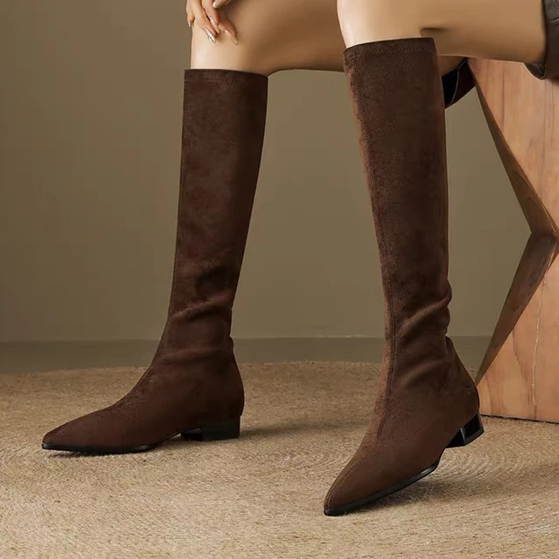 

Pointed Toe Women's Long Shoes Low Heels Fashion Luxury Shoes Designer Winter Boots 2025 Dress Knee High Female Chelsea Botas