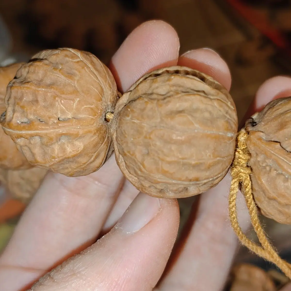 Chinese Style Lucky Natural Wild Walnut Beaded Bracelet 13pcs Short Stack Jingba Ridge Wristband For Good Fortune Wealth Blessin