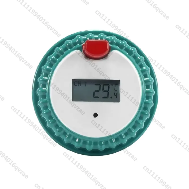 Termometro Wireless per Piscin - Pool Alarm Float recensione e prezzo