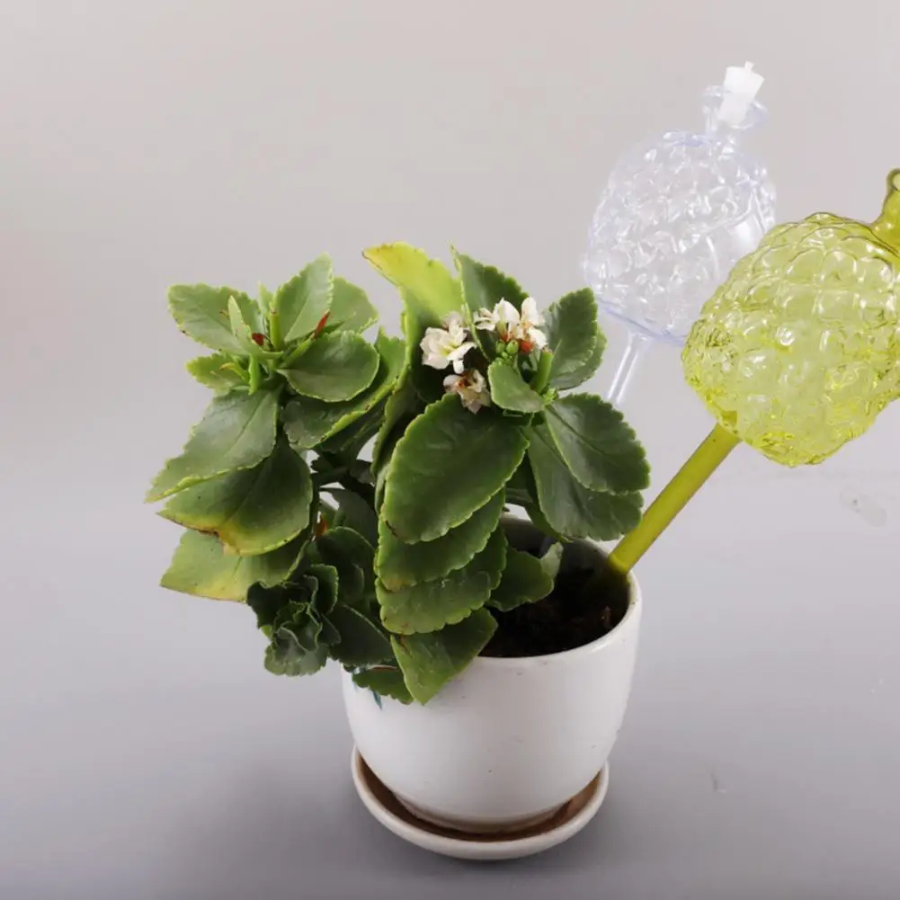 Outdoor Plant Watering Tool Self Watering Bulbs Plant Watering Globes Automatic Planter Insert Self Devices for Indoor Outdoor