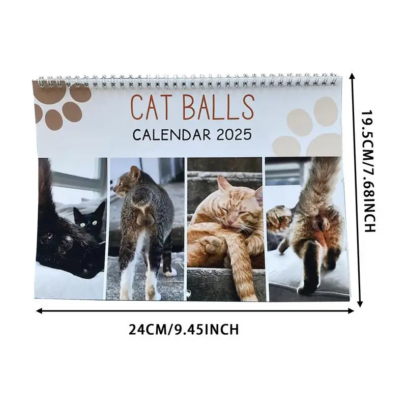 Imagem -06 - Gato Butthole Calendário para Notas Engraçado Gato Bolas Calendário 12 Calendário Mês 25x19.5cm 2025