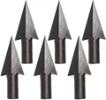 Type2