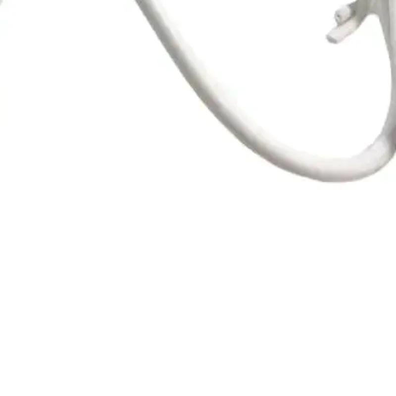 1Pcs Water Flosser USB Charger Replacement For Dental Irrigator Toothbrush WP450EC WP462EC GS8-1 Charger Cord
