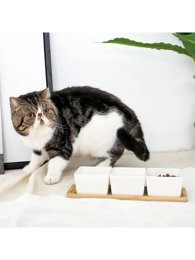 

New Ceramic Cat Bowl Bamboo Stand Cat Food Bowl Water Dog Food Bowl Pet Supplies Waterer Feeder