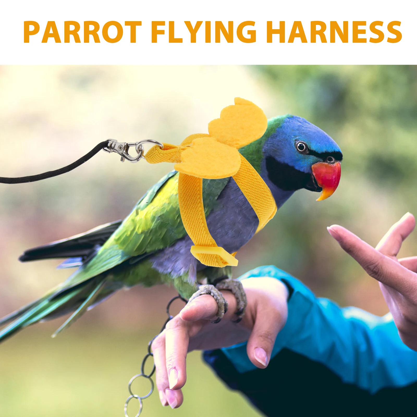 

Bird Leash parrot harness wear-resistant bird leash outdoor parrot leash portable bird harness bird supply