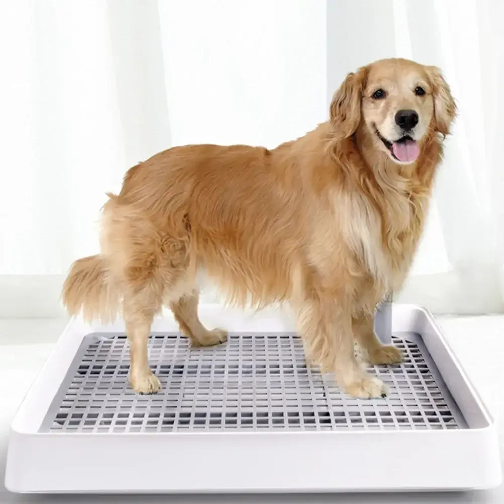 애완 동물 강아지 오줌 훈련 트레이 개 화장실 강아지 변기 소변기 화장실 분지 플라스틱 Chiens 애완 동물 WC 화장실 청소 변기 강아지 트레이