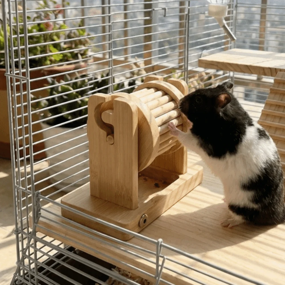 Jouet en bois pour hamster, distributeur de friandises non toxique et résistant à la mastication, accessoire interactif et amusant pour cage d'animaux