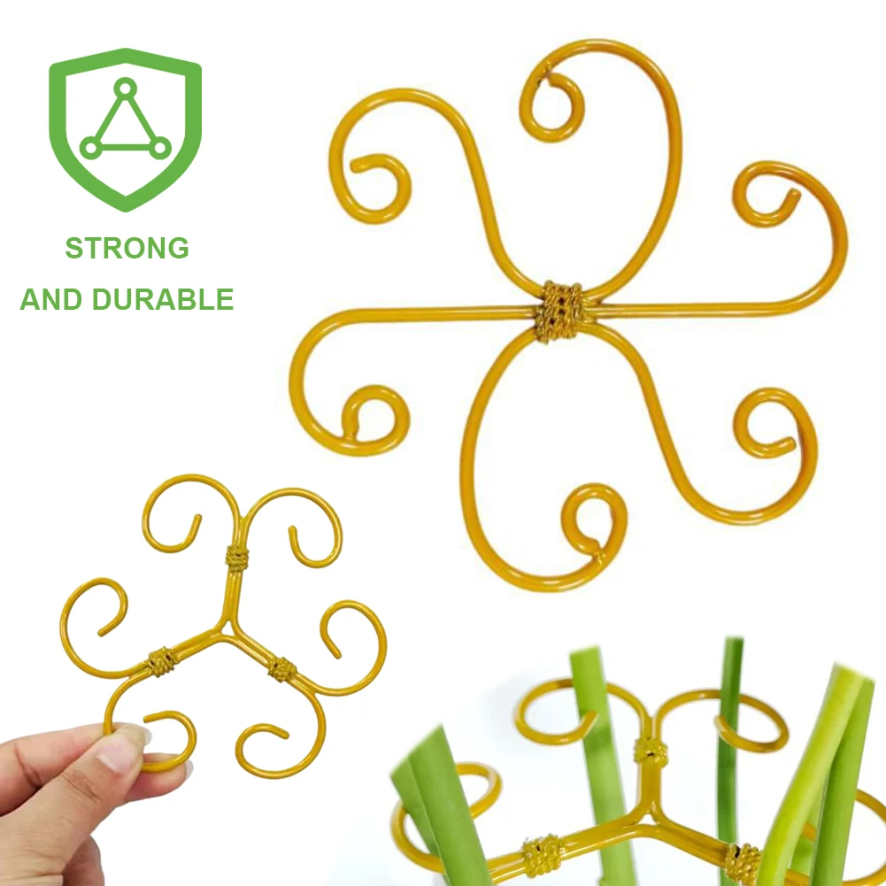 

5Pcs Plant Stem Support Monstera Plant Support Plant Stem Holder Plant Stabilizer for Indoor Plants