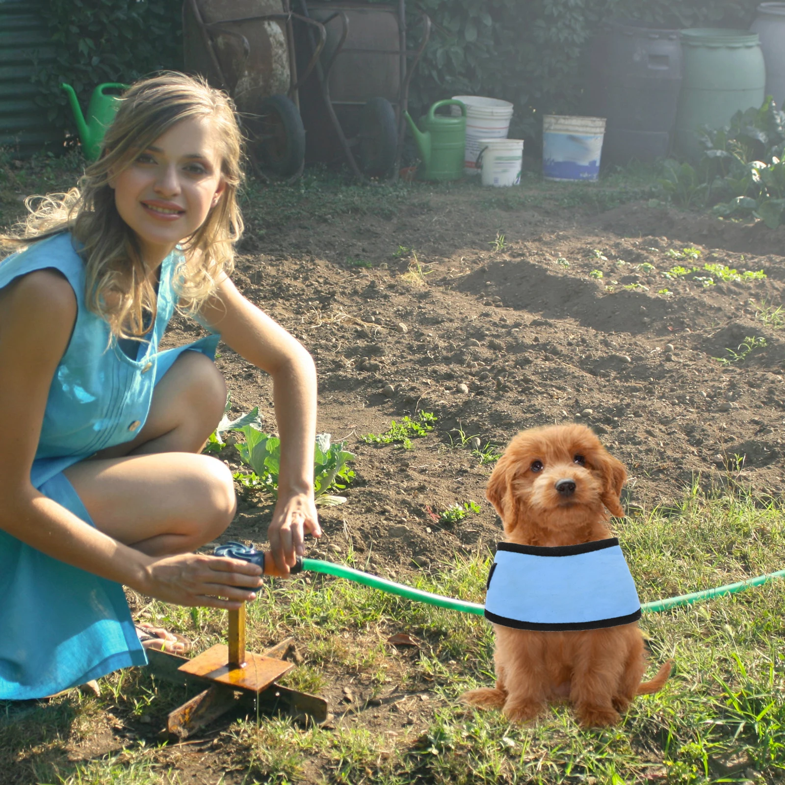 

Pet Cooling Scarf Cool Dog B Summer Puppy Collar Lightweight Breathable Fabric Cooling Neck Towel for Puppies Dog Walking