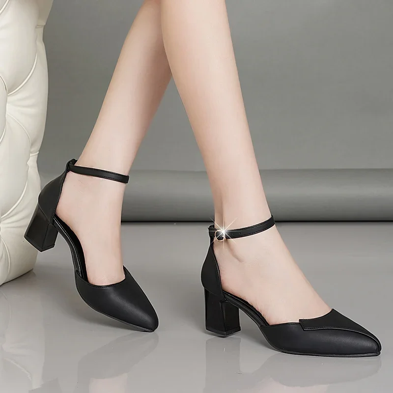 Elegant Women\'s High Heels New 2024 Spring Summer Versatile Ankle Strap Mules Pointed Toe Thick Heel Mary Jane Sandals