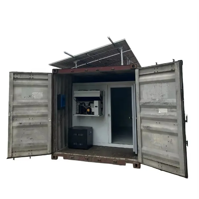 4*2.5*2m Off Grid Solar Cold Room -25℃ Freezer With Solar Panels for Ice Meat Fish Preservation