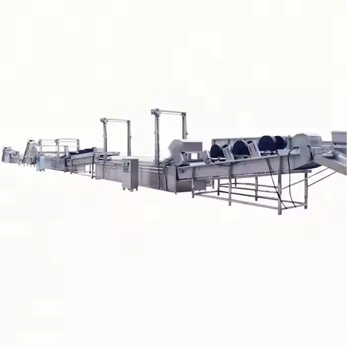 Timer Controlled Ozone Fruit Vegetable Washer for Bakery Raw Fruit Washing Remove Surface Dirt
