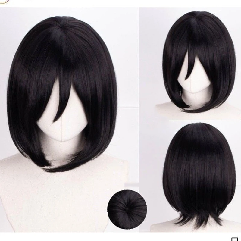 Attaque sur géant Cosplay Anime perruque Alan Hanjihrista Mikasa Liweibing longue courte Bob Anime exposition habiller perruque