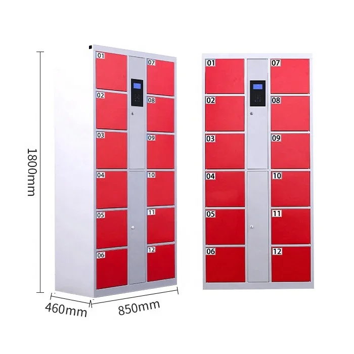 Modern Design 12 Door Smart Parcel Delivery Locker Customized Self Coding Locker Password Storage Cabinet