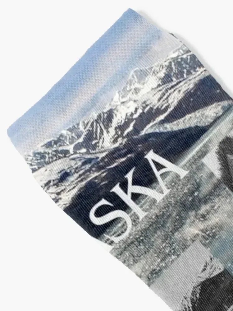 جوارب ألاسكا الرياضية والترفيهية، هدية قصيرة، جوارب رجالية للنساء #2