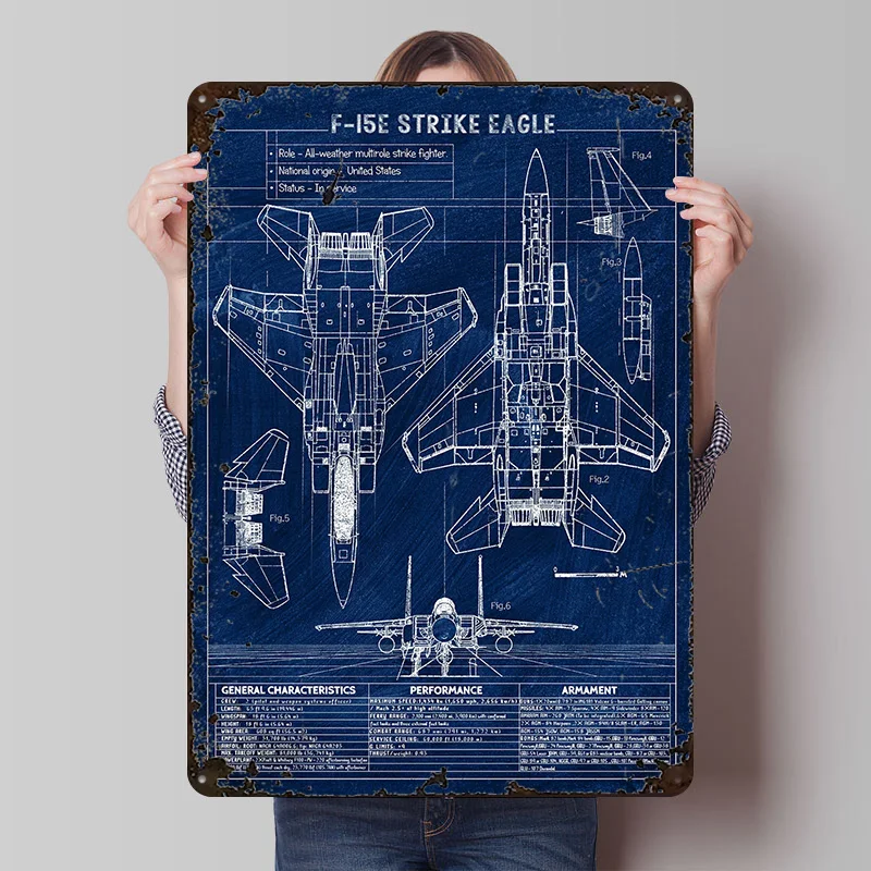 Póster de hojalata de águila F 15 E Strike, arte de pared personalizado, carteles de Metal Vintage, placa de hojalata Retro para decoración del hogar