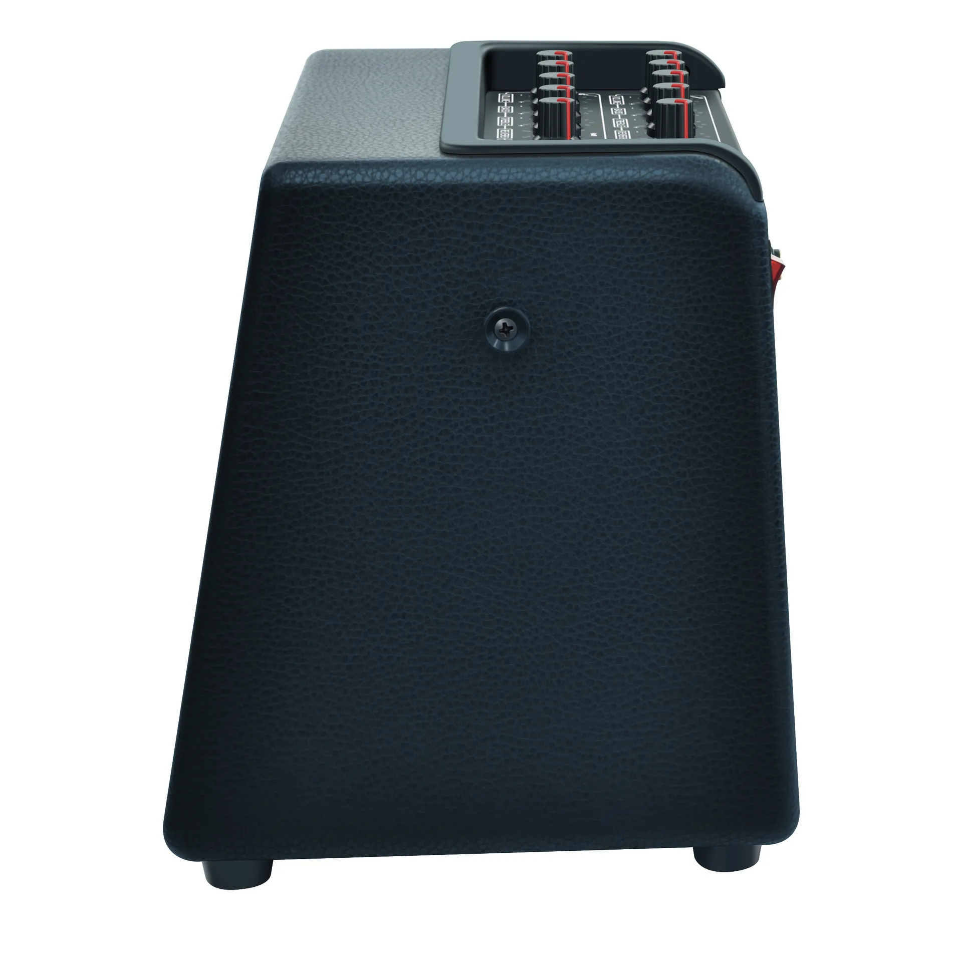 Factory Direct Sale 30 Watt Guitar Strumming Amp Electric Blowpipe Amp Live Dual Speakers with Internal Recording