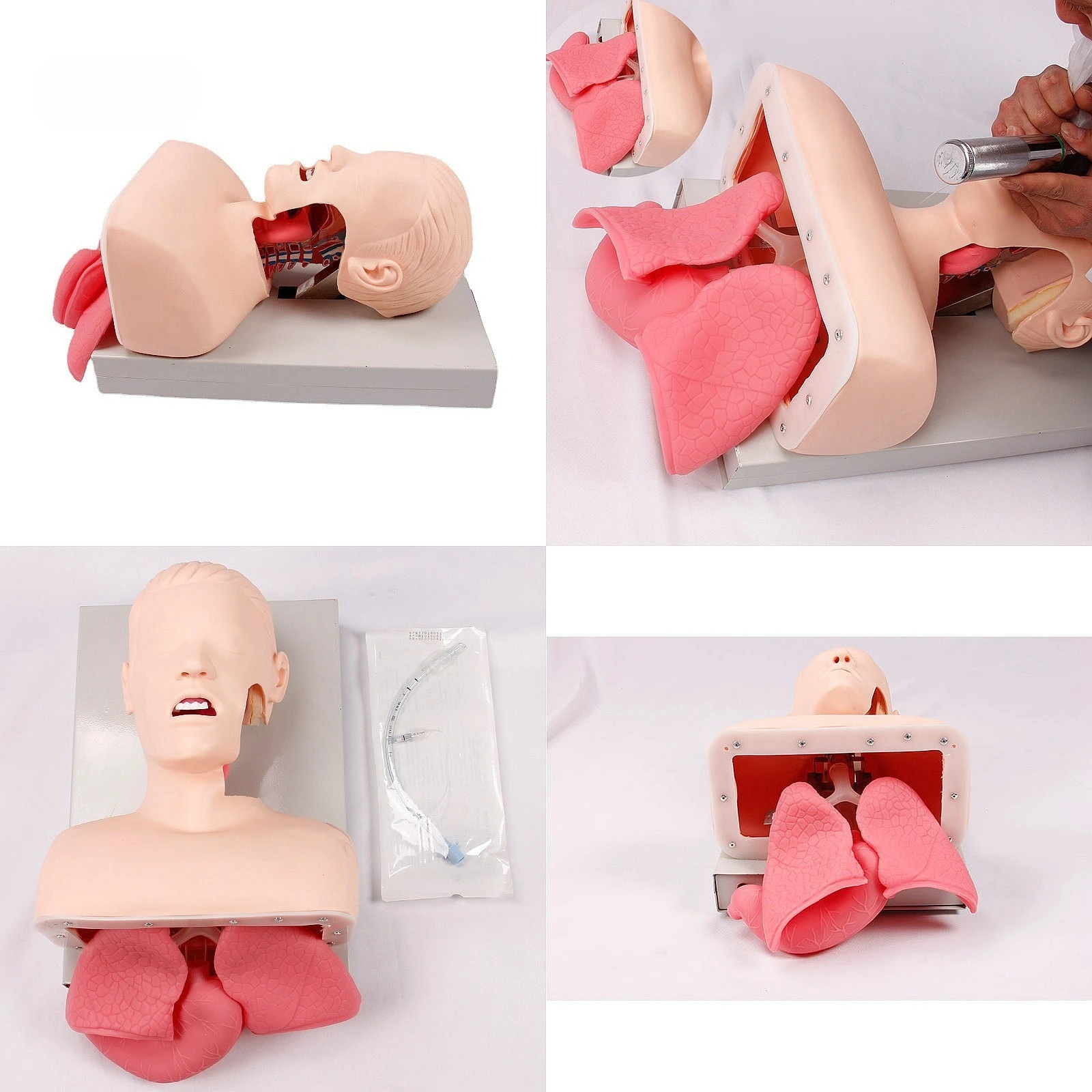 Training Models Advanced Medical Airway Management Simulator for Human Tracheal Intubation Practice