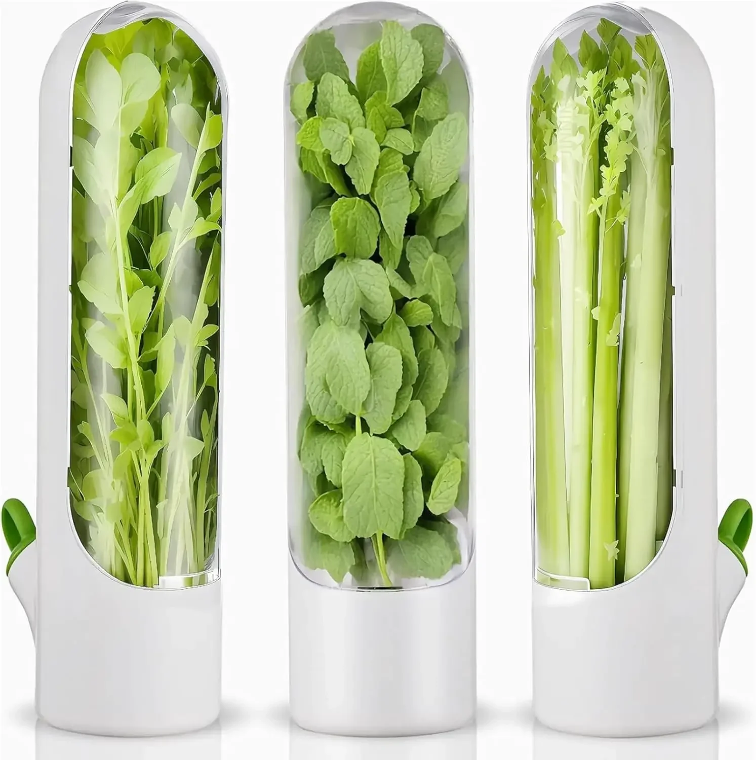 

Refrigerator Herb Fresh Coriander Container, Herb, Parsley, Asparagus, Mint Storage Box, Keep Vegetables Fresh for 2-3 Weeks