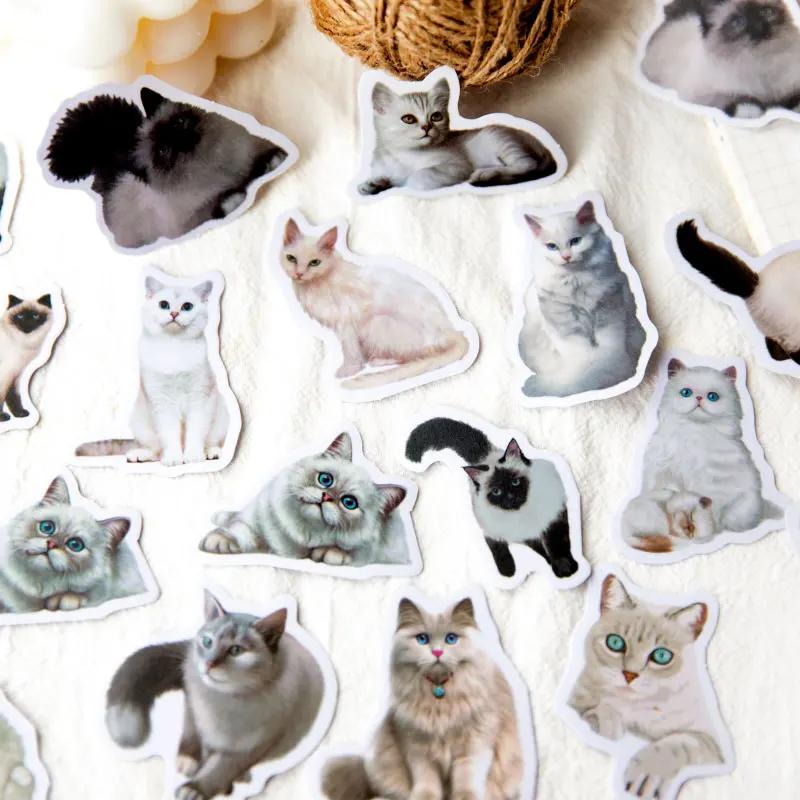 30 pcs/pack Scrapbooking Sheet Stickers Cute cat Vintage real DIY animal hand account material decorative sticker 6 types