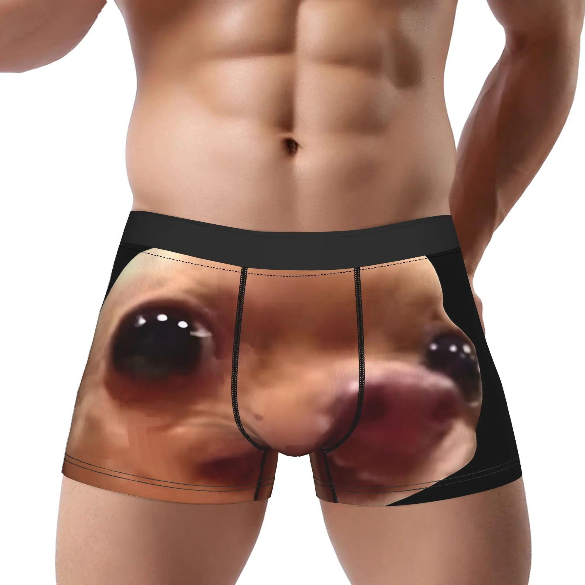 1piece  Cute Little Chihuahua Meme Underpants Breathbale Panties Male Underwear Comfortable Shorts
