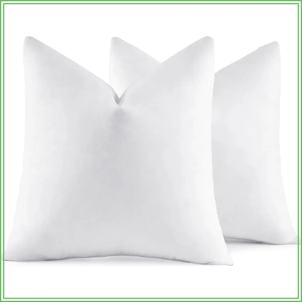 Set of 2 Premium Down Feather Throw Pillows