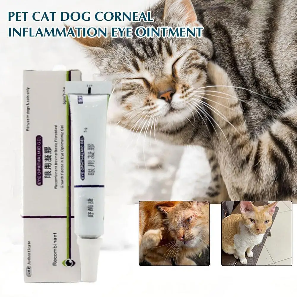 Ungüento para ojos de inflamación corneal calmante para mascotas, 5g, para perros y gatos, golosinas, enrojecimiento, infecciones de hinchazón, Gel de extracto de planta Natural, 1 Uds.